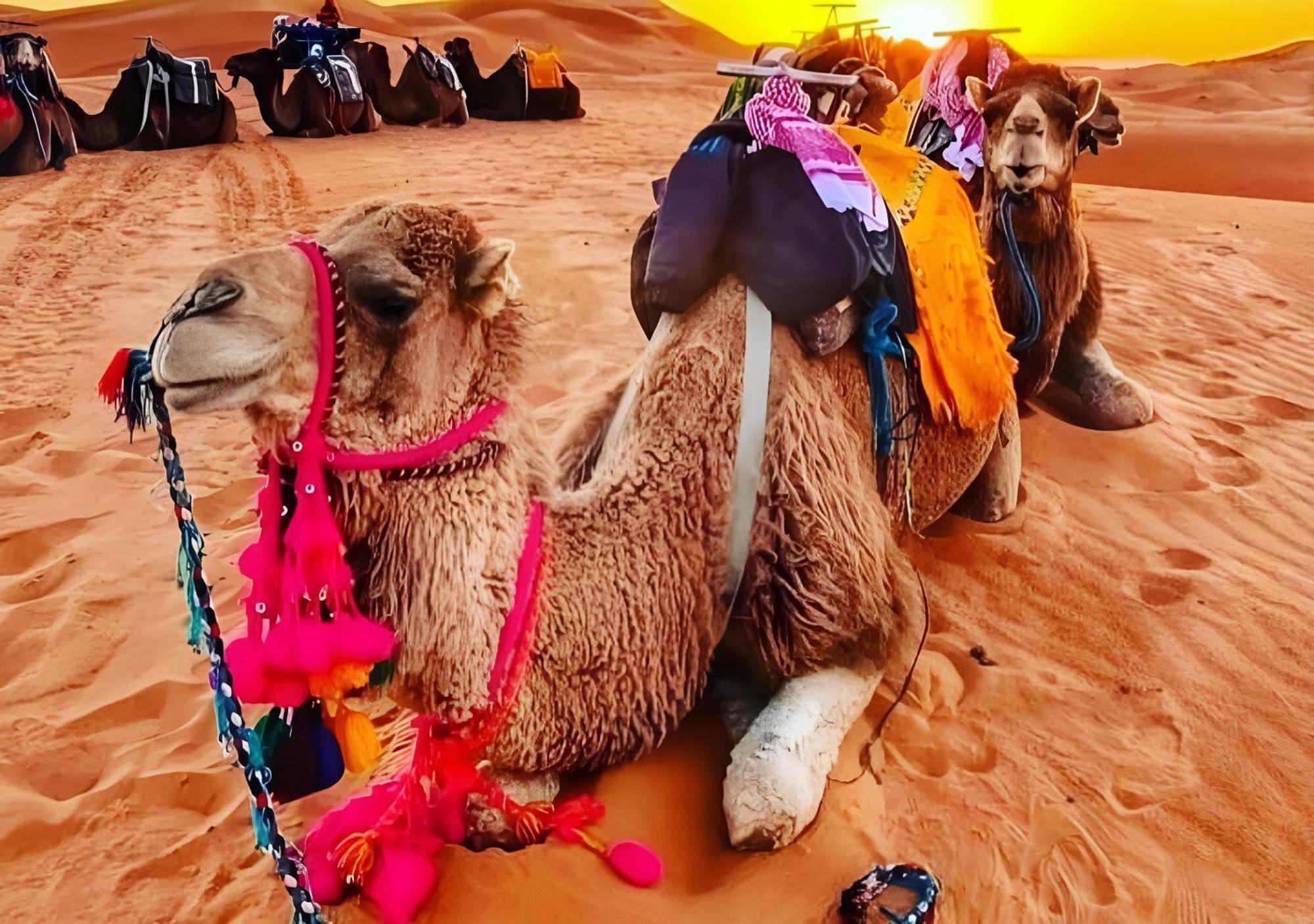 Top Desert Luxury Camp Merzouga Luaran gambar